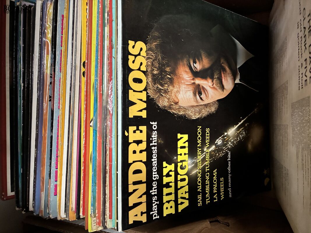 Lot vinylplaten – foto 5 – kavel bij BOPA Auctions, Ieper