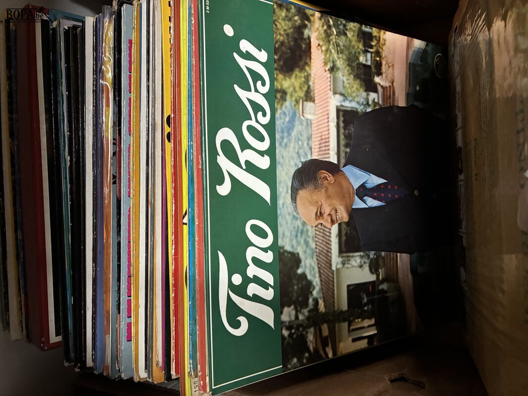 Lot vinylplaten – foto 6 – kavel bij BOPA Auctions, Ieper