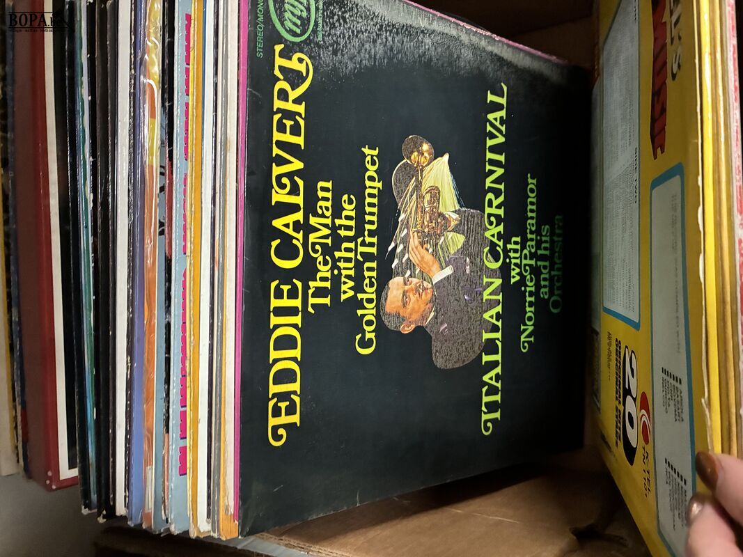 Lot vinylplaten – foto 7 – kavel bij BOPA Auctions, Ieper