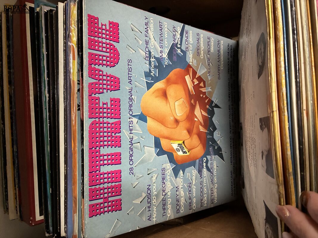 Lot vinylplaten – foto 8 – kavel bij BOPA Auctions, Ieper