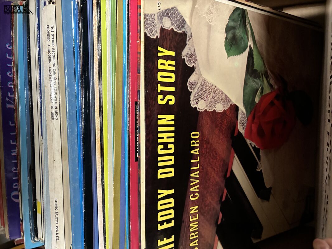 Lot vinylplaten – foto 5 – kavel bij BOPA Auctions, Ieper