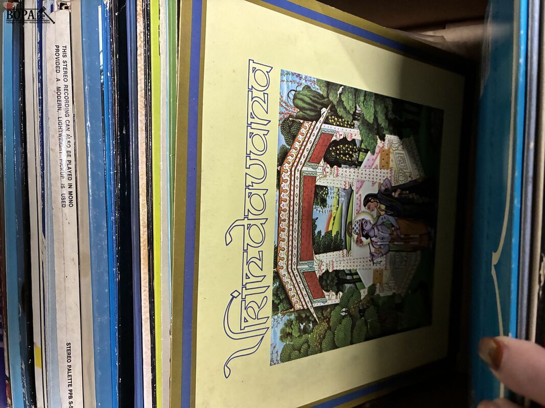 Lot vinylplaten – foto 6 – kavel bij BOPA Auctions, Ieper