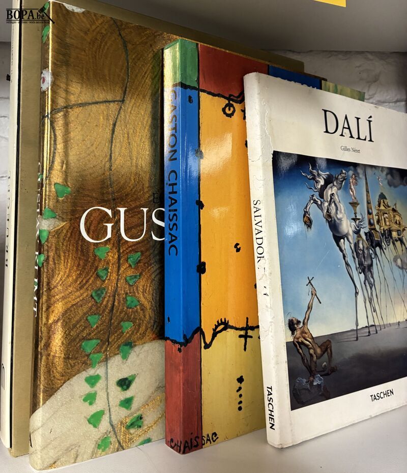 Lot kunstboeken - 7 stuks – foto 3 – kavel bij BOPA Auctions, Ieper