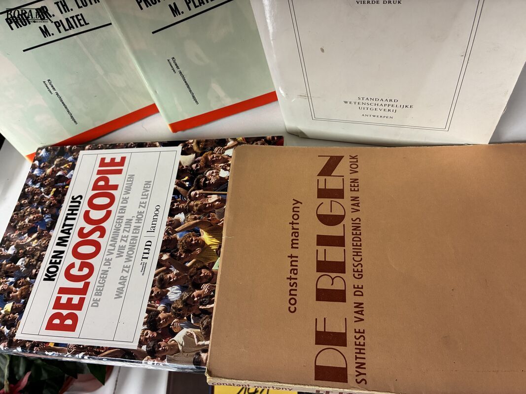Lot politieke geschiedenisboeken België - 5 stuks – foto 3 – kavel bij BOPA Auctions, Ieper