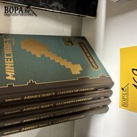 Lot Minecraft boeken - 4 stuks – kavel bij BOPA Auctions, Ieper